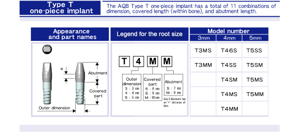 1piece-t-type